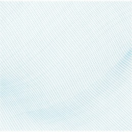 Bestway 58277 baseino valymo tinklelis