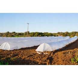 Agrotekstile dengiantis sodo neaustinis audinys 1,1x5m spyruoklinis baltas 17g atsilikimas