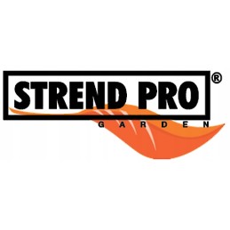 Plaukiojantis baseino termometras strend pro vėžliai