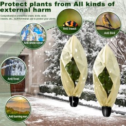 Augalų apsaugos danga, agrotekstilė, 240 x 200 cm 