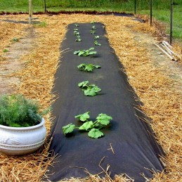 10m x 2m nuo piktžolių agrotekstilė, UV agrotekstilė