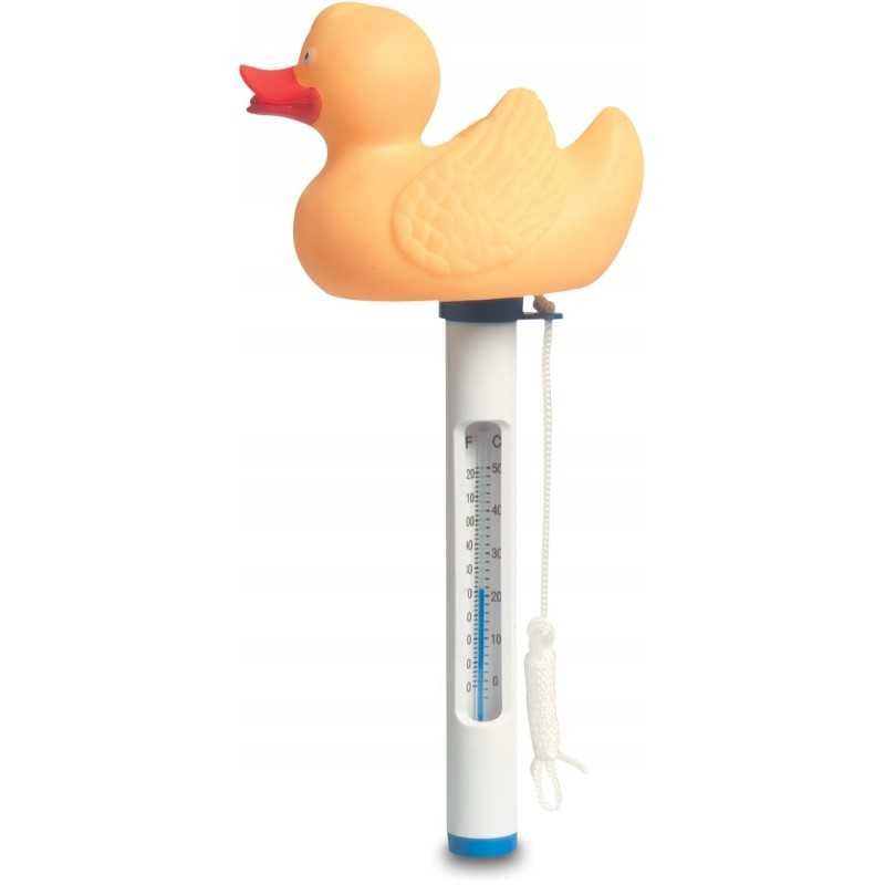 Anties baseino termometras