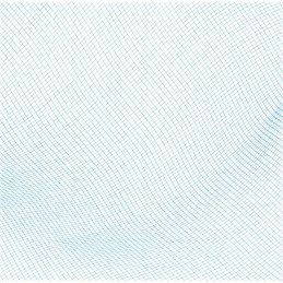 Bestway 58277 baseino valymo tinklelis