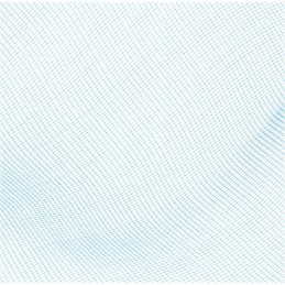 Bestway 58277 baseino valymo tinklelis