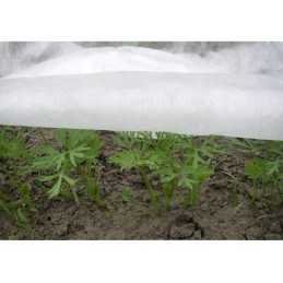 Balta apsauginė agrotekstilė pavasariui