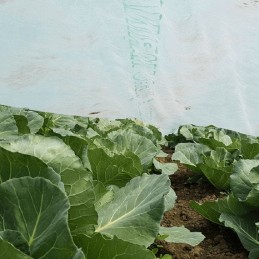 agrimpex apsauginė spyruoklinė agrotekstilė su agro marina technologija 3m x 10m 17g/m2