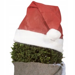 Kalėdinė kepurė augalams 42x36cm raudona