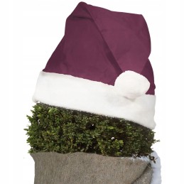 Kalėdinė augalas kepurė 42x36 cm bordo