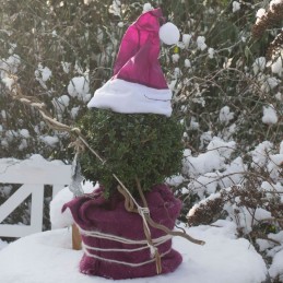 Kalėdinė augalas kepurė 42x36 cm bordo