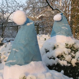 Kalėdinė augalas kepurė 42x36 cm ledas