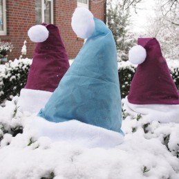 Kalėdinė augalas kepurė 42x36 cm ledas