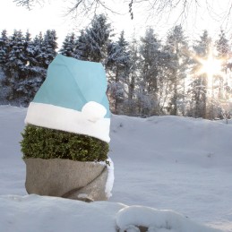 Kalėdinė augalas kepurė 42x36 cm ledas