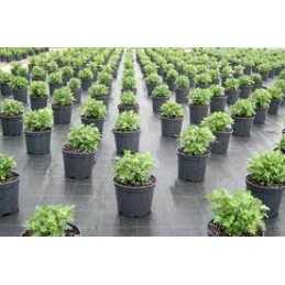 Juoda agrotekstilė|100g|mulčiavimo kilimėlis|nuo piktžolių|0,40x1m