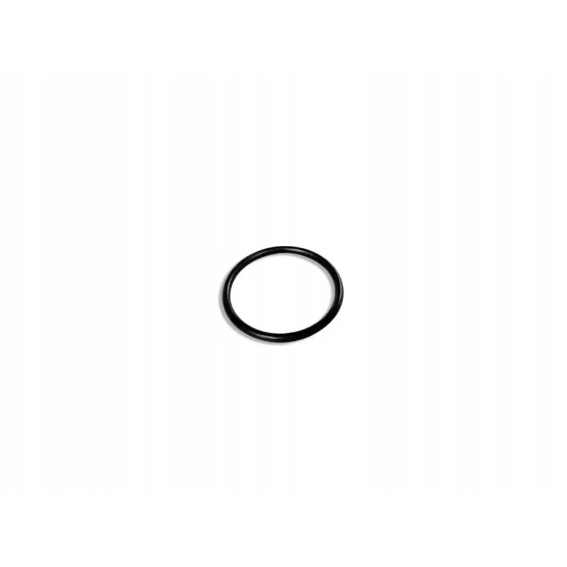 Filter indicator seal and air valve for pump 28634 intex