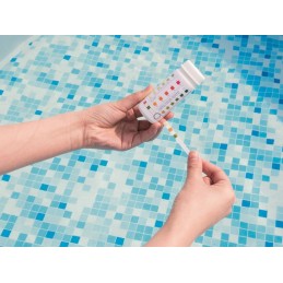 Bestway 58142 šarmingumo ir chloro pH testeris 3in1
