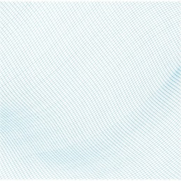 Bestway 58277 baseino valymo tinklelis