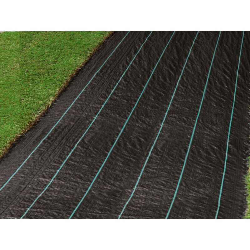 Agrotkanina anti piktžolių parkas