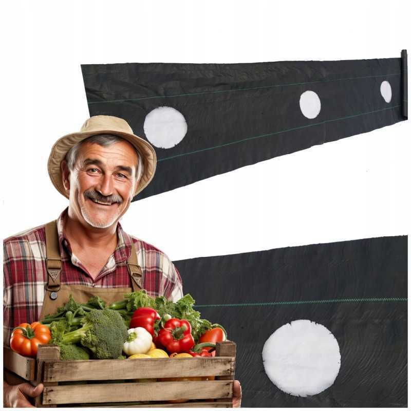 Žemės ūkio audinys, skylutės tujoms, mėlynėms, 60 cm į metrą