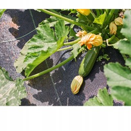 Kilimėlis nuo piktžolių agrotekstilės, agrotekstilė, 3,2 x 5 m