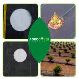 Žemės ūkio audinys, skylutės tujoms, mėlynėms, 60 cm į metrą