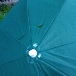 Large garden umbrella
