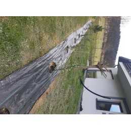 Žemės ūkio audinys, skylutės tujoms, mėlynėms, 60 cm į metrą