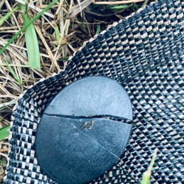 Kaiščiai / kaiščiai agrotekstilės inkarui 100vnt x 200mm