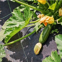 Agrotkanina agrotekstilės kilimėlis 90g 1,1x 10m