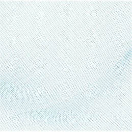 Bestway 58277 baseino valymo tinklelis