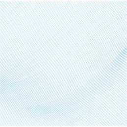 Bestway 58277 baseino valymo tinklelis