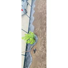 ⭐️Agrotekstilė 0,8m aukščio, 90g/m2 ⭐️