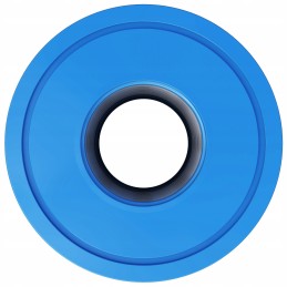 2 vnt Wessper filtras Intex S1 29001 baseino siurbliui