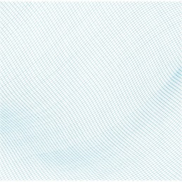 Bestway 58277 baseino valymo tinklelis