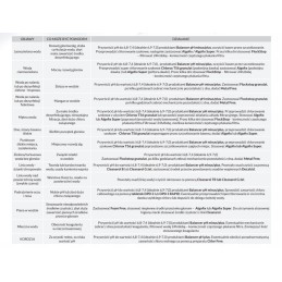 Chlorox multitabletės 200g mėlynos ntce 0 4 kg