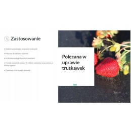 Išaugintas audinys braškėms pjaustyti 1 2x10 50g