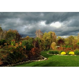 50vnt kaiščiai agrotekstilei 25cm agrotekstilės inkariniai kaiščiai agrotekstilei