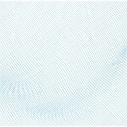 Bestway 58277 baseino valymo tinklelis, lengvas ir patvarus