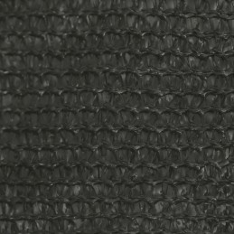 Vidaxl burė nuo saulės 160 g m2 antracito 3x4x4 m HDPE