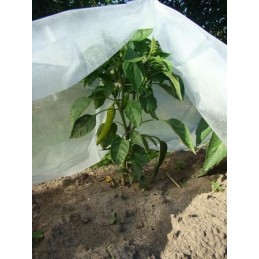 Pavasarinė UV apsauga agrotekstilė - sodininkas