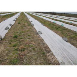 Pavasarinė UV apsauga agrotekstilė - sodininkas