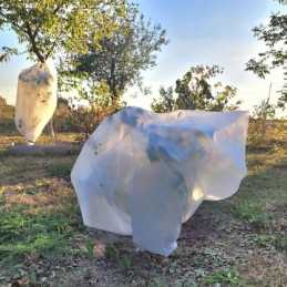 Agrimpex žiemos apsauginė rankovė augalams, 75 x 100 cm, 50g/m2