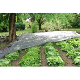 Pavasarinė UV apsauga agrotekstilė - sodininkas