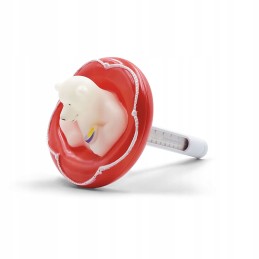 Gamix baseino termometras, plaukiojantis baseino dubuo