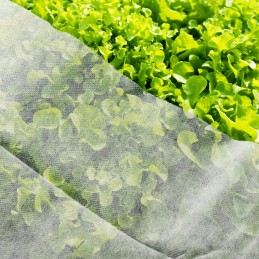 ☘️Agrotekstilės spyruoklinis kilimėlis 17g storio tvirtas dangalas 10x3,2m balta danga☘️