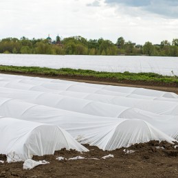 ☘️Agrotekstilės spyruoklinis kilimėlis 17g storio tvirtas dangalas 10x3,2m balta danga☘️
