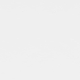 Balkono širma, balta, 90x300 cm, oksfordo audinio