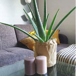 Natūralaus džiuto 160cm/100cm džiuto audinys 320g/m2