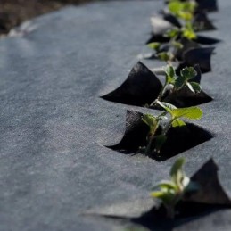 Agrowwoven for sci braškės juodos 1 20x 10 00 g50