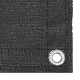 Vidaxl balkono ekranas antracitas 120x600 cm HDPE