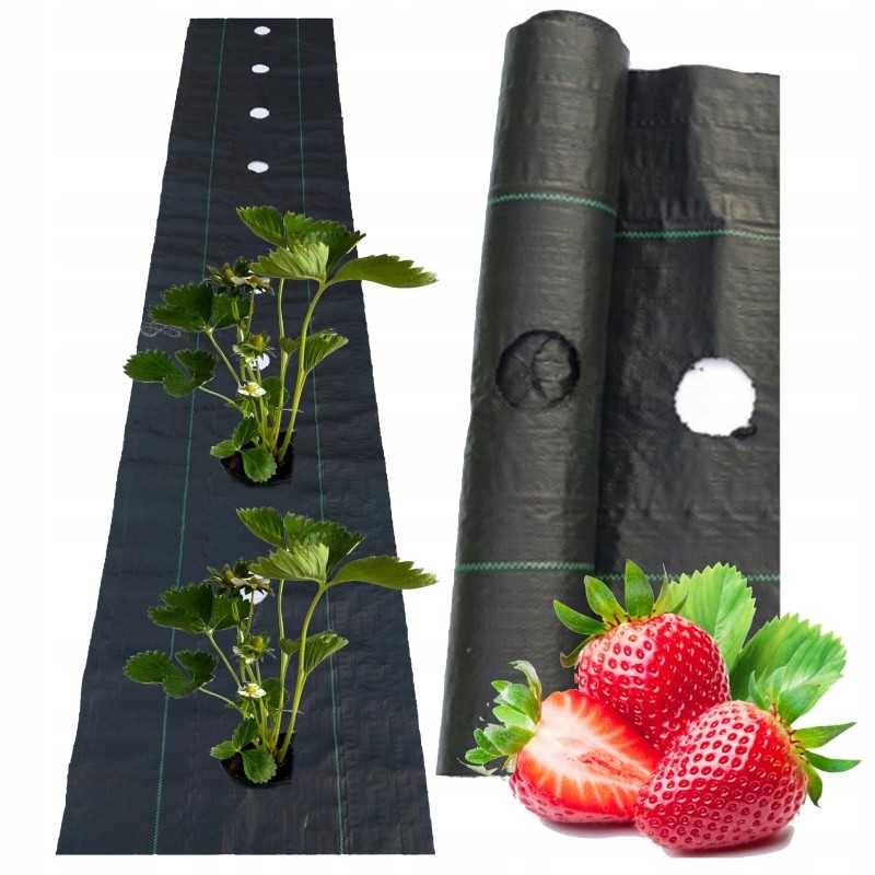 Juoda agrotekstilė 40cm x 10m piktžolėms su skylutėmis kas 15cm, stipri 95g/m2